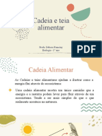 Cadeias alimentares e teias