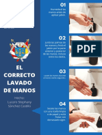 El Correcto Lavado de Manos