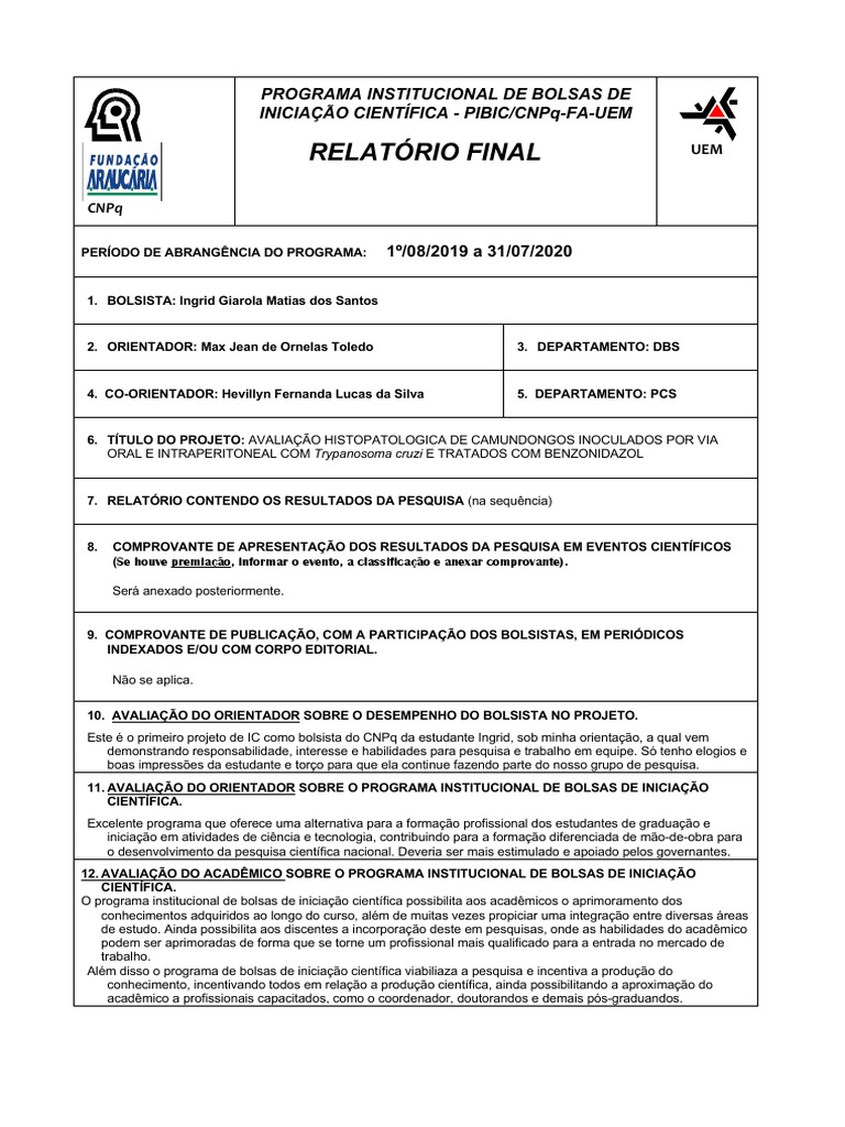 relat-rio-final-programa-institucional-de-bolsas-de-inicia-o