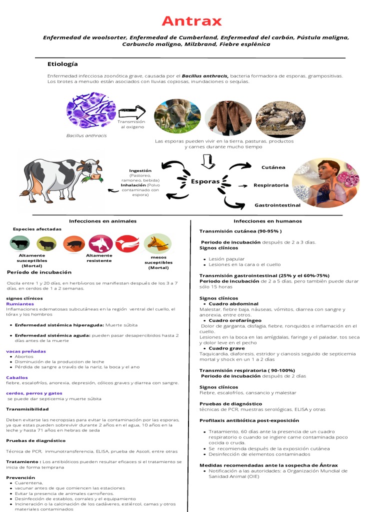 tipos-y-s-ntomas-del-ntrax-pdf-ntrax-enfermedades-y-trastornos