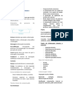 Comunicação-Resumo (1ºppt)