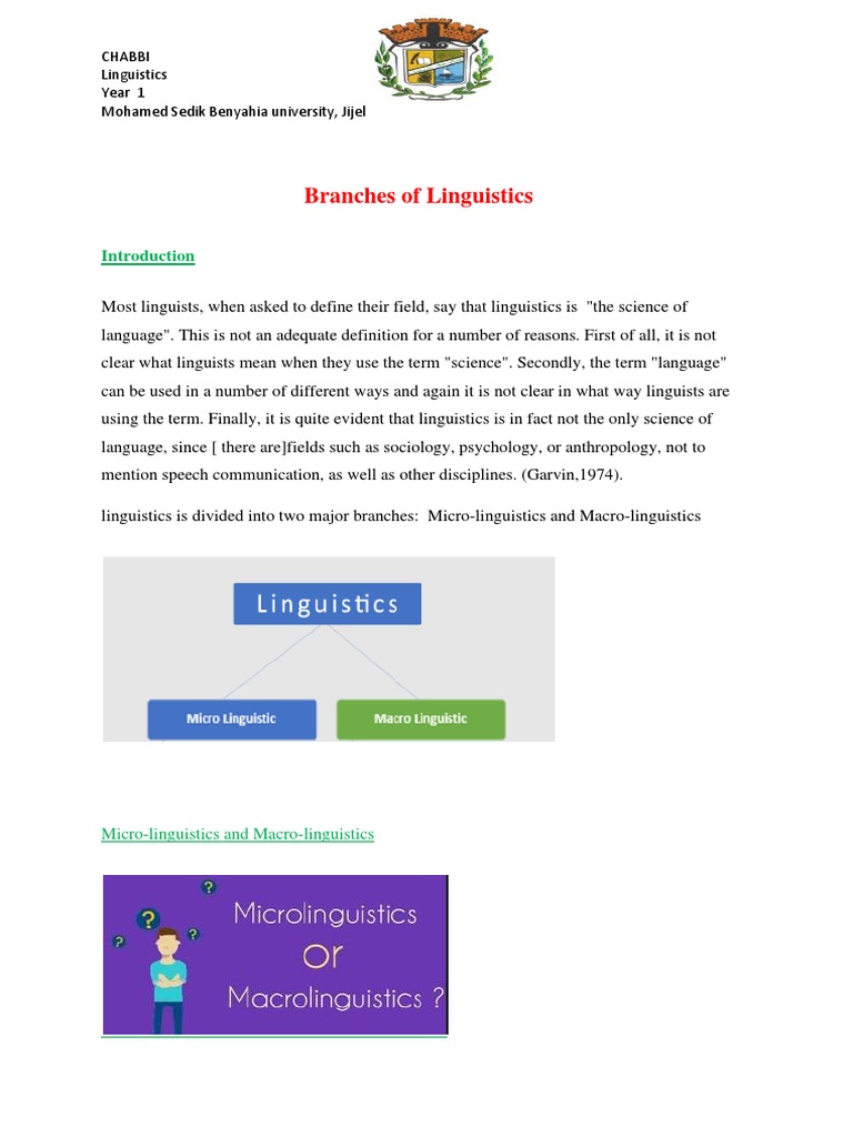 Overview of Linguistics Branches | PDF | Linguistics | Psycholinguistics