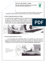 Roteiro de Aula Prática - Joelho: Disciplina de Fisioterapia Aplicada À Ortopedia e Traumatologia