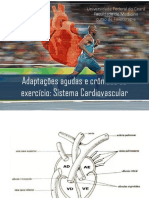 Adaptações Agudas e Crônicas Ao Exercício: Sistema Cardiovascular