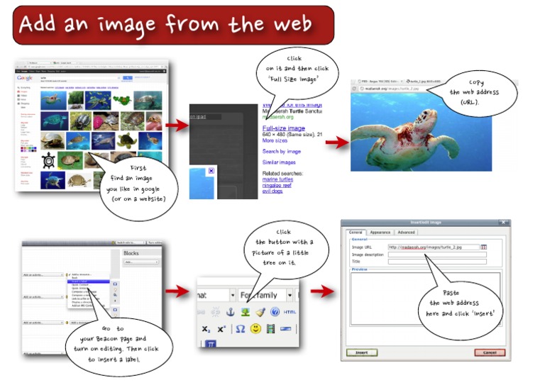 Add An Image | PDF