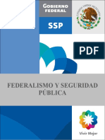 Federalismo y Seguridad Publica