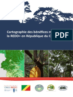 Cartographie des bénéfices multiples de la REDD+ en République du Congo_lores