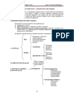 Parte 7- Tej. Conjun y musc