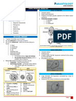 Intestinal Amoeba Pathogens