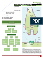 Harmacology: Brief Review On Cholinergic Receptors and Transmission