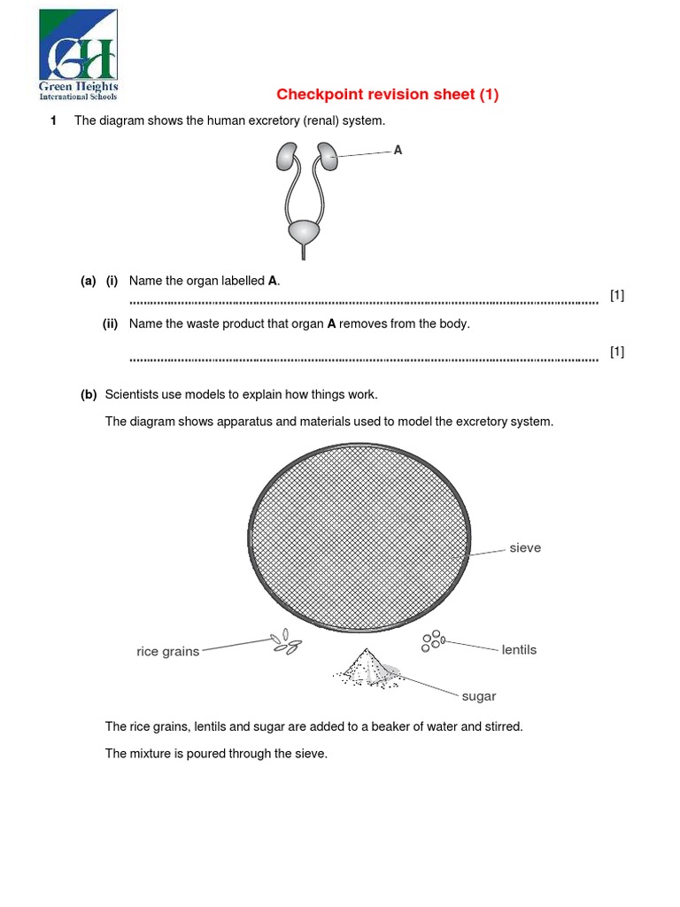 Checkpoint Revision Sheet (1) 1 The Diagram Shows The Human Excretory