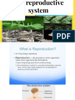 The Reproductive System: Hormones, Development & Puberty
