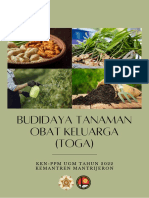 Budidaya Tanaman Obat Keluarga (TOGA) : KKN-PPM Ugm Tahun 2022 Kemantren Mantrijeron