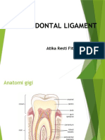 Periodontal Ligament: Atika Resti Fitri, DRG.,M.SC