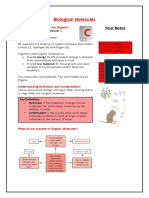 4 - Biological Molecules