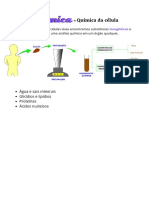 Bioquímica da célula: água, sais, glicídios, lipídios, proteínas e ácidos nucleicos