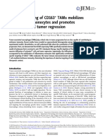 Specific Targetin of CD163 + TAM in Tumor JEM 2019