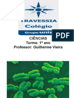 Ciências Turma: 1º Ano Professor: Guilherme Vieira