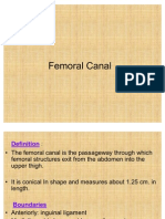 Femoral Canal 27092008