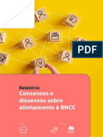 Consensos e Dissensos Sobre Alinhamento À BNCC: Relatório