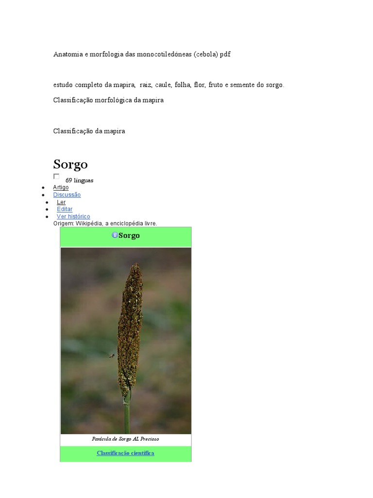 Morfologia do Sorgo e Mapira | PDF | Botânica | Agricultura