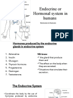 Endocrine or Hormonal System in Humans