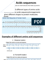 Amino Acid Sequence and DNA Structure