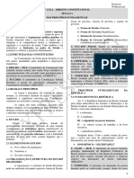 1 Aula - Constitucional (Princípios Fundamentais)