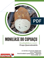 Moniliáse Do Cupuaçu