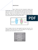 FUNGSI DAN GRAFIK