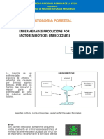 Enfermedades Producidas Por Factores Bióticos (Infecciosos) : Universidad Nacional Agraria de La Selva