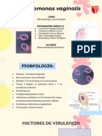 Microbiología - S11