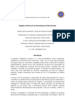 Silagem de Girassol Na Alimentação de Ruminantes