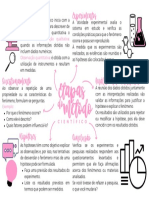 Etapas: Observação Experimentos