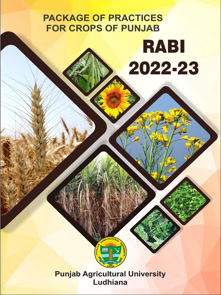 Maize Package Of Practices