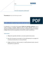 Matriz de Evaluación Profesional.