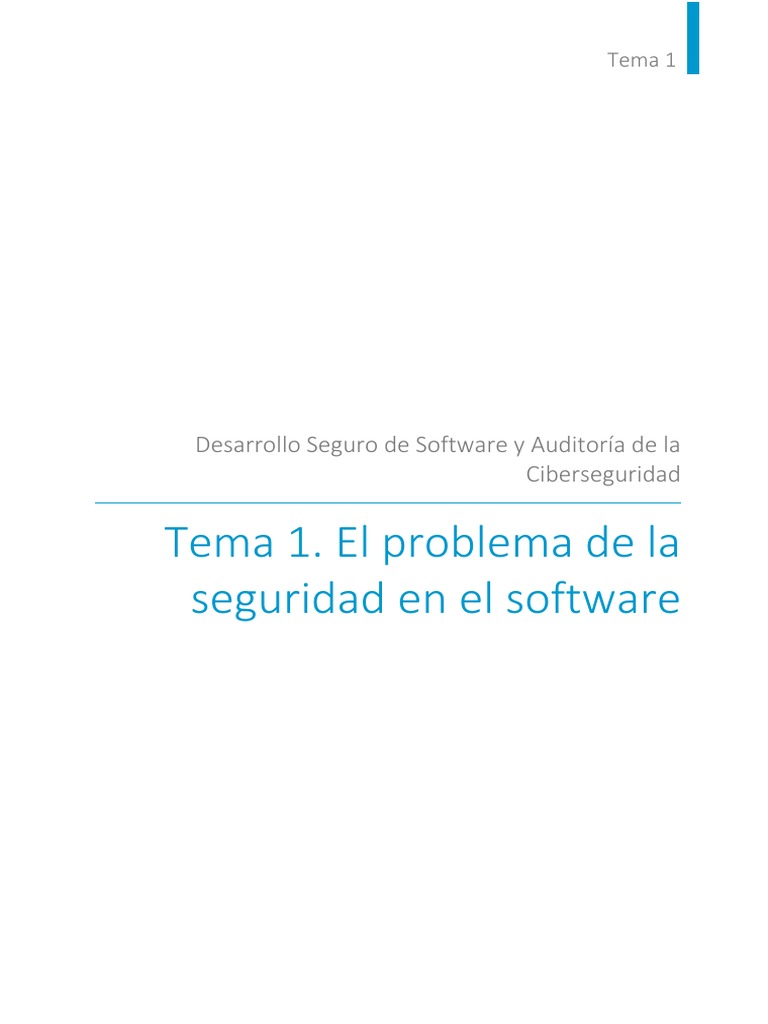 Tema 01 El Problema De La Seguridad En El Software Pdf