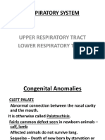 Respiratory System: Upper Respiratory Tract Lower Respiratory Tract