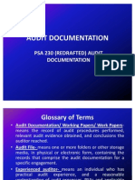 AUDIT DOCUMENTATION SUMMARY