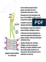 Biomolècules 2