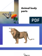 Animal Body Parts