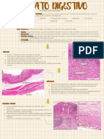 Aparato digestivo: estructura y funciones del tubo digestivo