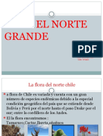 El Norte Grande: Nombre: Christopher Huenchul Fecha: 1de Octubre 2017 Curso: 5° Basico