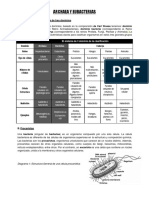 Archaea Y Eubacterias