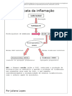 Cascata da inflamação e seus mediadores