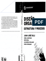 Diseño ORGANIZACIONAL - JUAN JOSE GILLI