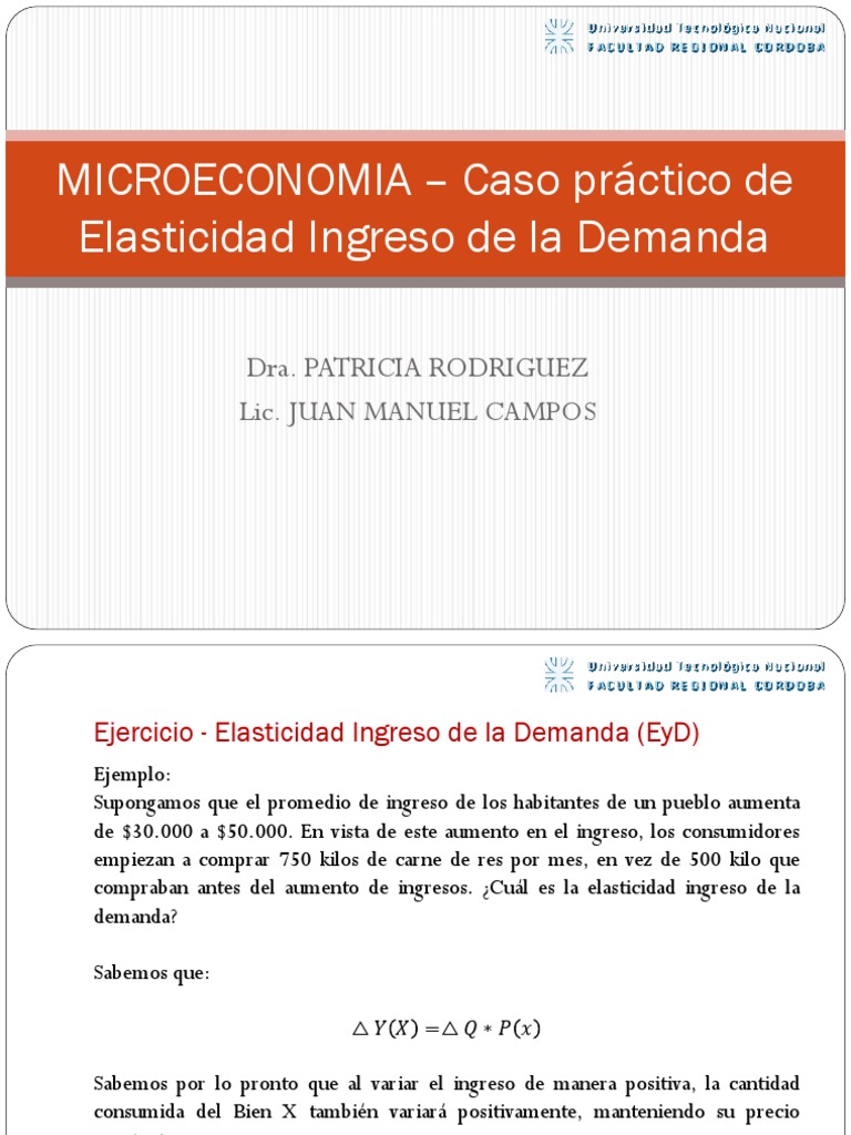 3 2 - Elasticidad Ingreso Practico | PDF