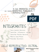 Términos en Sus Diferentes Etapas de Vida Parámetros Fisiológicos Y Reproductivos