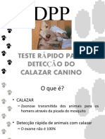 Teste R Pido para Á Detec ODO ÇÃ Calazar Canino