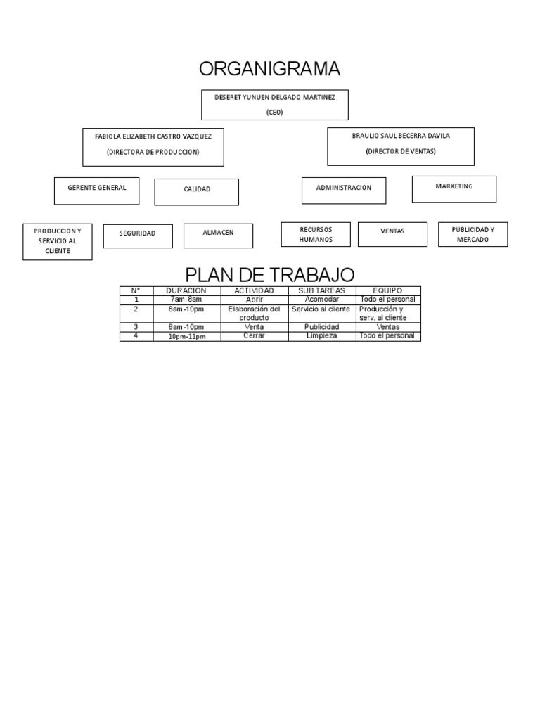 Organigrama y Plan de Trabajo Topitop | PDF
